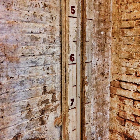 detalle nivel fabra i coats