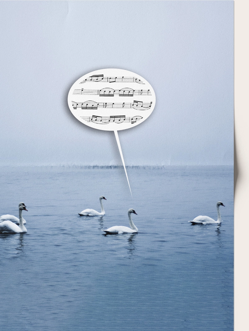 requiem de mozart, simfonics al palau